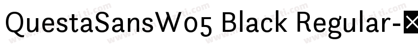 QuestaSansW05 Black Regular字体转换